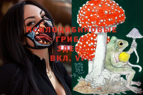 MESCALINE Медногорск
