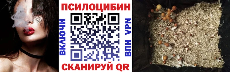 Псилоцибиновые грибы ЛСД omg маркетплейс Вилюйск